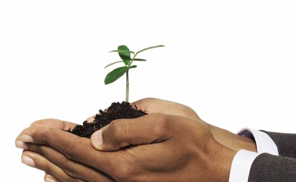 Mental wellbeing support top priority for SMEs