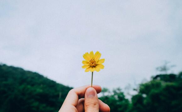 Financial wellbeing: How protection plays into client's financial happiness